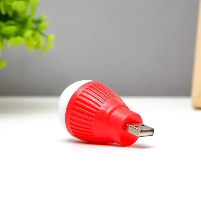 Ночник RISALUX &laquo;Лампочка&raquo;, LED, USB, 3.5&times;3.5&times;6.5 см, МИКС