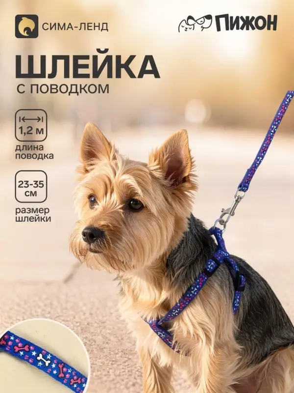 Шлейка с поводком &laquo;Звёздные косточки&raquo;, 23-35 с, ширина 1 см, поводок 120 см, синяя