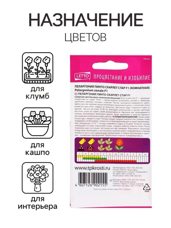Семена цветов Пеларгония &laquo;Пинто Скарлет Стар&raquo;, F1, 4 шт., &laquo;Агроуспех&raquo;