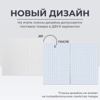 Бизнес-тетрадь А4 60л Attache Греция Голубой/Фиолет клет, 65г, греб, ВД-лак