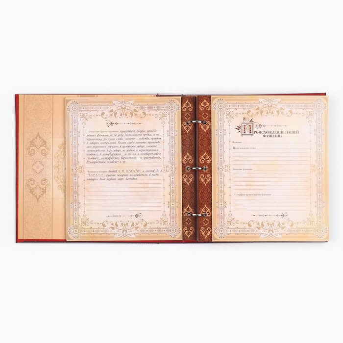 Родословная книга с рамкой под фото «Семейная книга», 50 листов, 21,5 х 23,7 см. Родословная книга с рамкой под фото «Семейная книга», 50 листов, 21,5 х 23,7 см.
