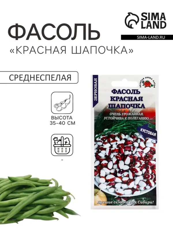Семена Фасоль зерновая &laquo;Красная шапочка&raquo;, 5 г, кустовая, &laquo;Золотая Сотка Алтая&raquo;