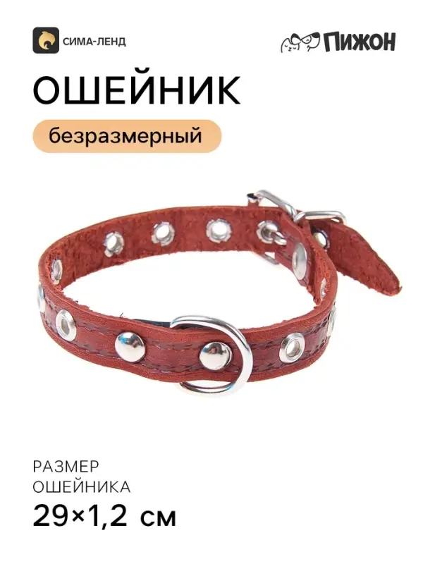 Ошейник кожаный тисненый однослойный, 29&times;1.2 см, безразмерный, микс цветов