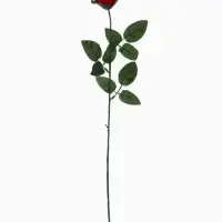 Цветы искусственные &laquo;Роза&raquo;, h=63 см, d=5 см, красные