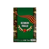 Открытка «С 23 Февраля!», 12×18 см