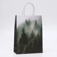 Пакет подарочный крафтовый «Туманный лес» 18×8×25 см, 120 г/м²