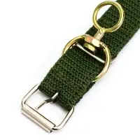 Ошейник двухслойный с вертлюгом, 2.5 см, зелёный