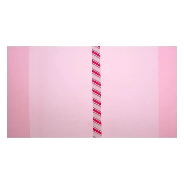 Набор обложек ПЭ 5 штук, 226&times;430 мм, 200 мкм, для учебников формата А5, универсальная, с закладкой