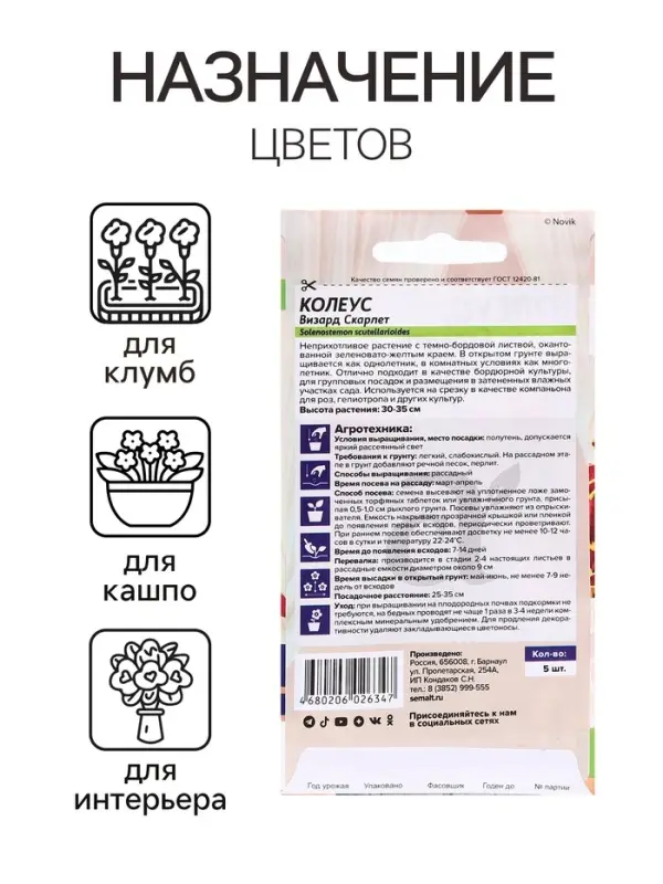 Семена комнатных цветов Колеус &laquo;Визард Скарлет&raquo;, 5 шт., &laquo;Семена Алтая&raquo;