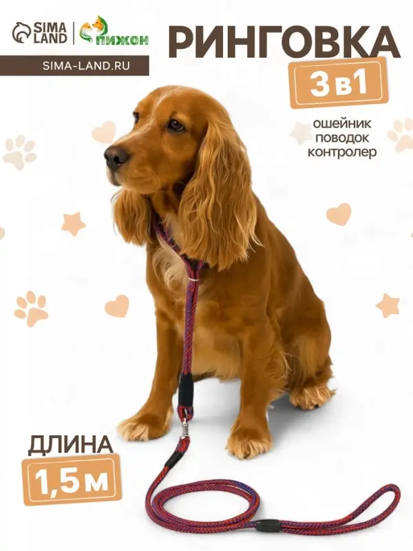 Ринговка для собак, 150&times;0.6 см, с вертлюгом, красная, синяя