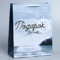 Пакет подарочный ламинированный, упаковка, Present for you, ML 21&times;25&times;8 см