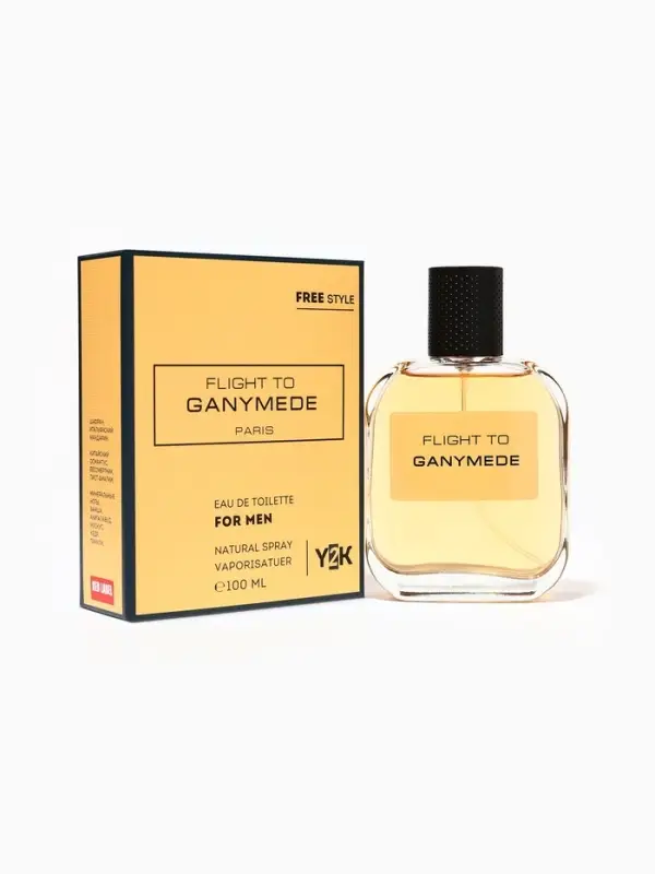 Туалетная вода мужская Free Style Flight to Ganymede, 100 мл