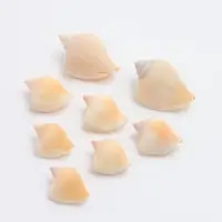 Набор ракушек декоративных, длина 3-5 см, 5 шт.