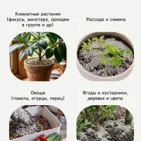 Цеолит Садовый &laquo;Рецепты Дедушки Никиты&raquo; фр 2-5 2 л
