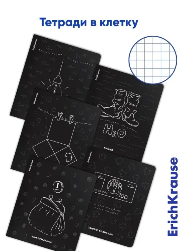 Набор предметных тетрадей ErichKrause &laquo;Зри в корень&raquo;, 12 предметов, 48 листов, со справочным материалом, пластиковая обложка