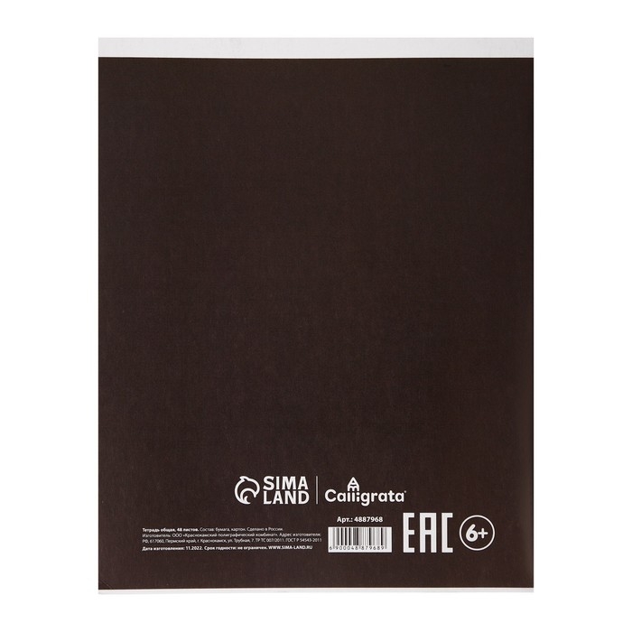 Тетрадь предметная Calligrata Тетрадь предметная Calligrata "СуперНеон", 48 листов в клетку Физика, со справочным материалом, обложка мелованный картон, блок офсет