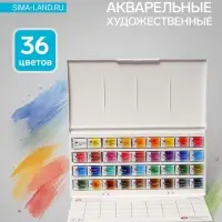 Краски акварельные художественные в кюветах &laquo;ЗХК. Белые ночи&raquo;, 36 цветов &times; 2.5 мл, пластиковая палитра