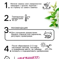 Семена цветов Лобелия ампельная "Белый каскад", 5 шт.