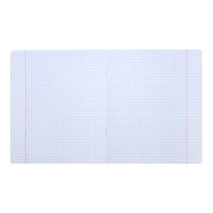 Комплект предметных тетрадей 24 листа &laquo;Статусы&raquo;, 10 предметов, обложка мелованный картон, со справочным материалом