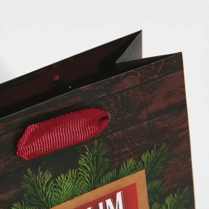 Пакет подарочный новогодний ламинированный «Настоящему мужчине», 12 х 15 х 5.5 см Пакет подарочный новогодний ламинированный «Настоящему мужчине», 12 х 15 х 5.5 см