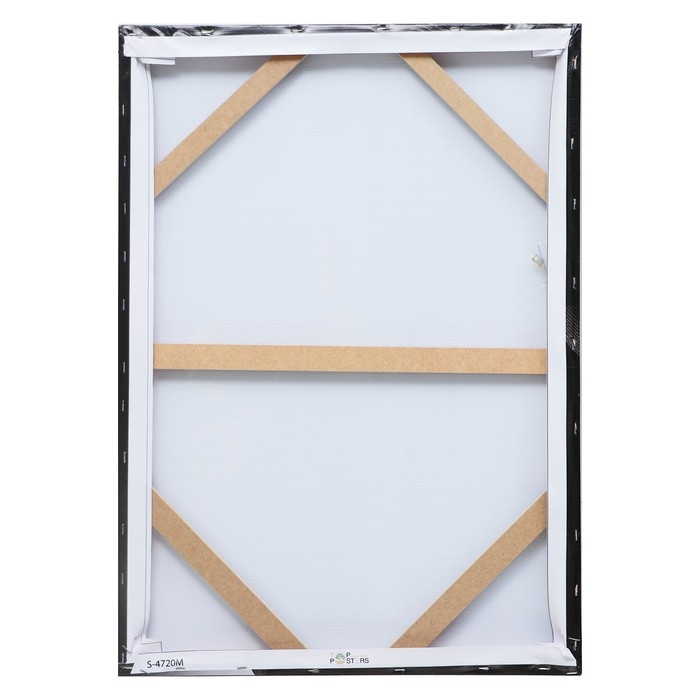 Картина- холст на подрамнике Картина- холст на подрамнике "Скульптура" 50*70см