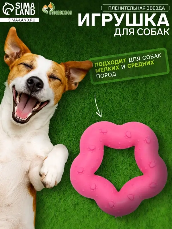 Жевательная игрушка для собак &laquo;Пленительная звезда&raquo;, 7 см, TPR, розовая