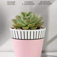 Кашпо для цветов &laquo;Розовое&raquo;, 800 мл, d=11 см, h=12 см, пластиковое