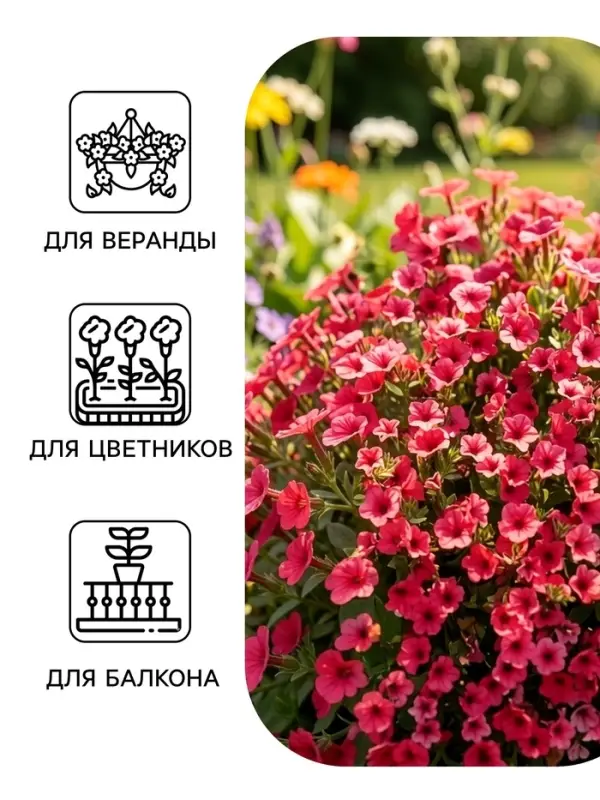 Семена цветов Петуния ампельная &laquo;Лавина Розовая F1&raquo;, 0.01 г, &laquo;УРОЖАЙ УДАЧИ&raquo;