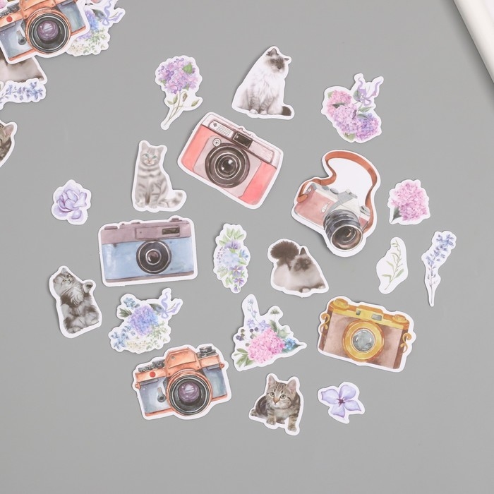 Наклейки для творчества Наклейки для творчества "Коты, цветы и фото" 3,5х5 см набор 40 шт 9,4х8,4х0,5 см