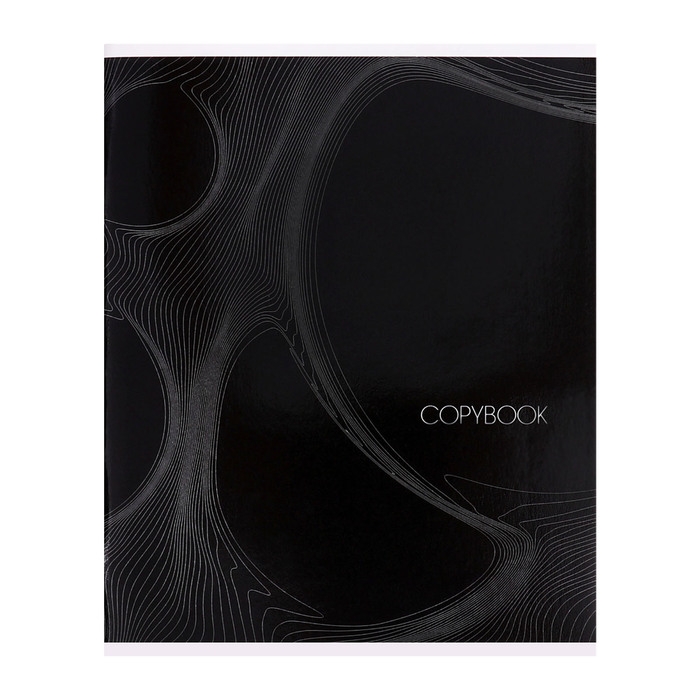 Тетрадь 96 листов в клетку Calligrata Тетрадь 96 листов в клетку Calligrata "Графика 2", обложка мелованный картон, глянцевая ламинация, блок офсет МИКС