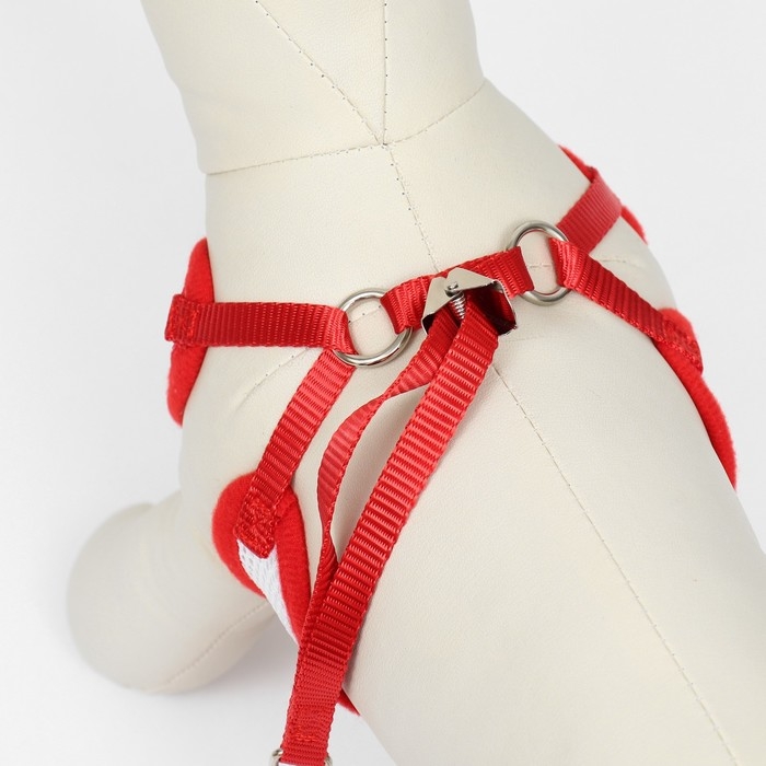 Комплект с мягкой шлейкой и бантиком, размер L, поводок 120 x 1,5 см, ОГ 35-50 см, красный Комплект с мягкой шлейкой и бантиком, размер L, поводок 120 x 1,5 см, ОГ 35-50 см, красный