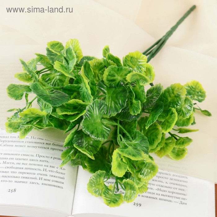 Букет  Букет "Листья кувшинки" 24 см