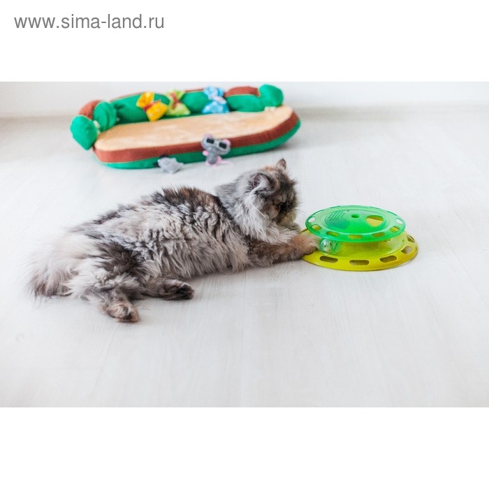 Игровой комплекс для кошек с отсеками для корма и шариком (картоная коробка), микс Игровой комплекс для кошек с отсеками для корма и шариком (картоная коробка), микс