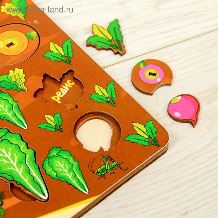 Набор «Овощи на грядке»