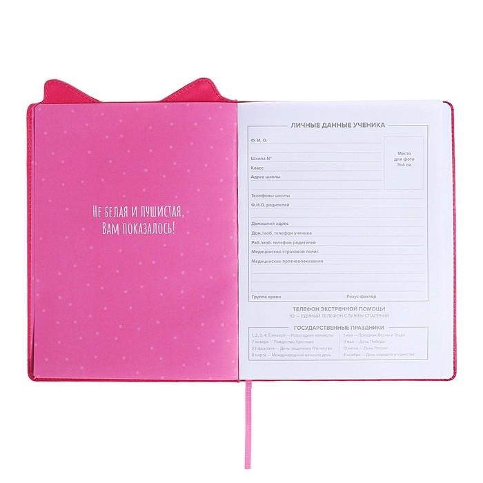 Дневник школьный для 1-11 классов, БОСС ШПИЦ, твёрдая обложка с поролоном, искусственная кожа, фигурная вырубка, ляссе, универсальная шпаргалка, 48 листов, блок 80г/м2 Дневник школьный для 1-11 классов, БОСС ШПИЦ, твёрдая обложка с поролоном, искусственная кожа, фигурная вырубка, ляссе, универсальная шпаргалка, 48 листов, блок 80г/м2
