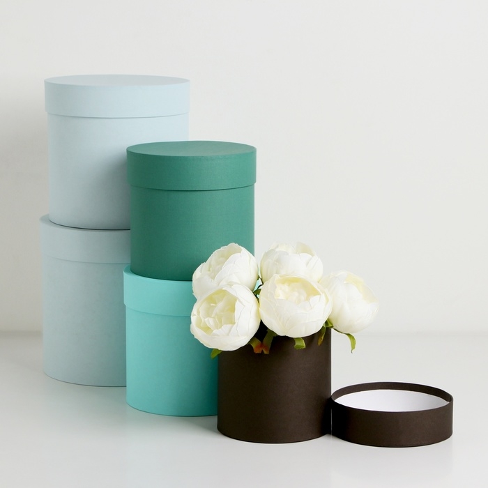 Набор шляпных коробок 5 в 1" Гармония" , 20 х 20 - 14 х 14 см