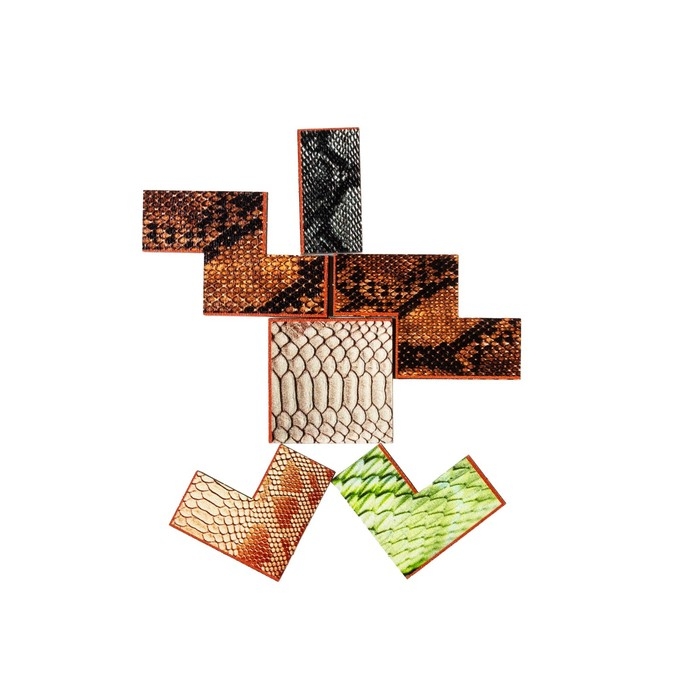 Тетрис «Текстуры змей», А5, 19 дет.