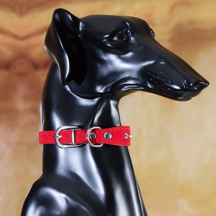 Ошейник  Ошейник "Бархат и стразы", 31 х 1,3/2 см, ОШ 22-28 см, красный