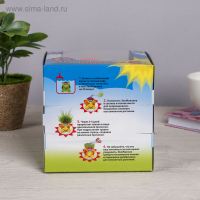 Растущий подарок травка Экоживчик "Черепаха" в подарочной упаковке МИКС