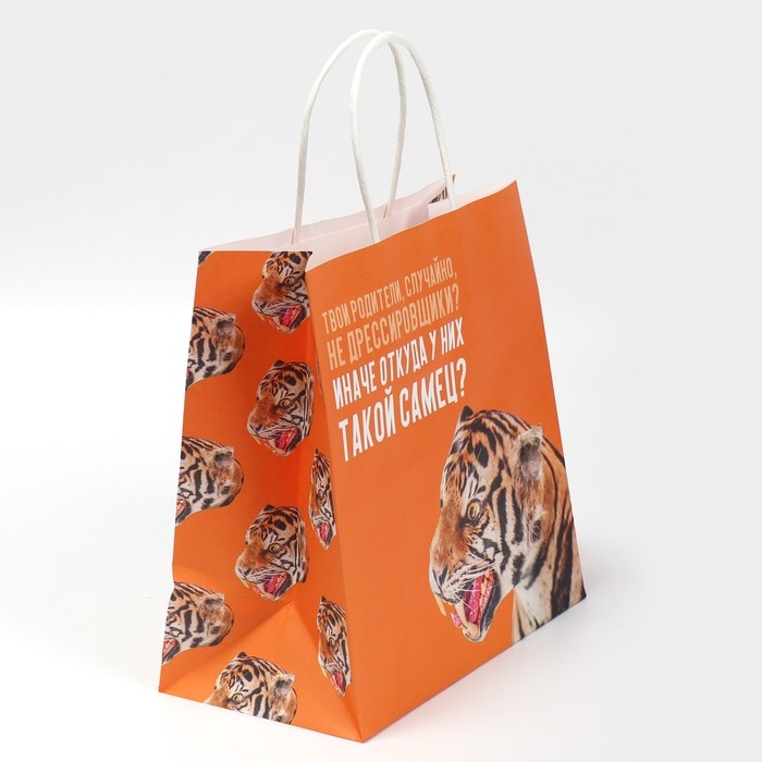 Пакет подарочный, упаковка, «Самец», 22 х 22 х 11 см