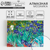 Алмазная мозаика с полным заполнением на холсте «Ирисы», 30 х 40 см