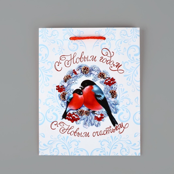 Пакет подарочный новогодний ламинированный «С Новым годом», снегири, MS 18 х 23 х 8 см, Новый год Пакет подарочный новогодний ламинированный «С Новым годом», снегири, MS 18 х 23 х 8 см, Новый год