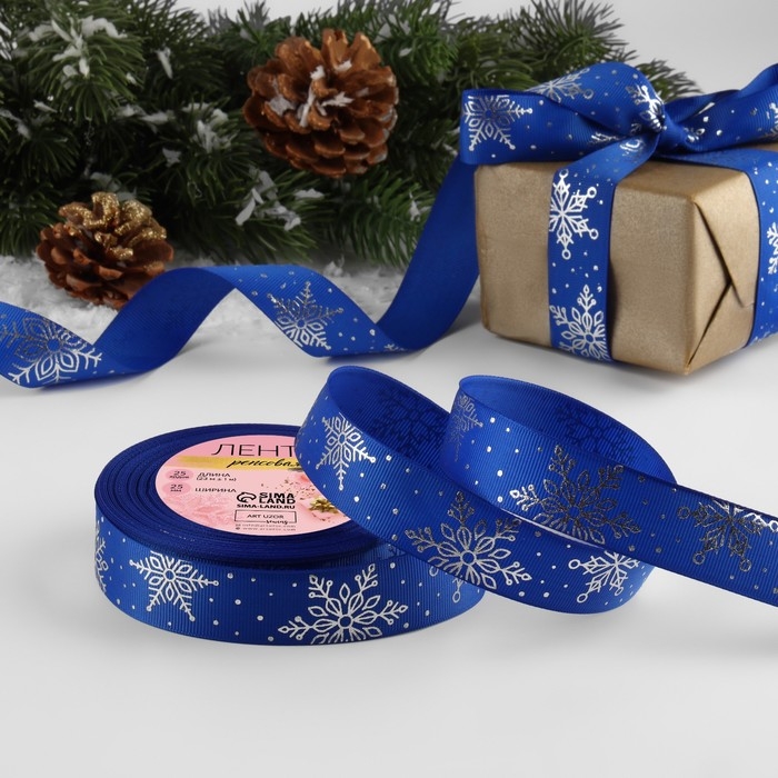Лента репсовая с тиснением «Фигурные снежинки», 25 мм, 23 ± 1 м, цвет синий/серебряный №040 Лента репсовая с тиснением «Фигурные снежинки», 25 мм, 23 ± 1 м, цвет синий/серебряный №040