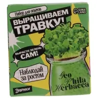Набор для опытов &laquo;Выращиваем травку&raquo;, своими руками, зеленый