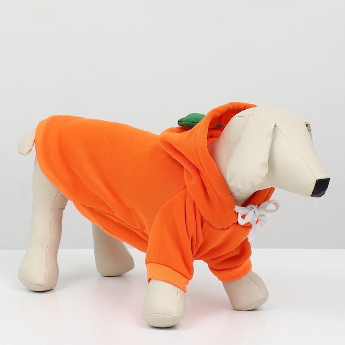 Толстовка Толстовка "Любимая морковка", размер M (ДС 30, ОГ 44 см)