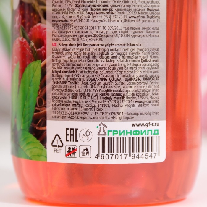 Гель для душа Гель для душа "СЕМЕЙНЫЙ" ягоды и мята, 750 мл