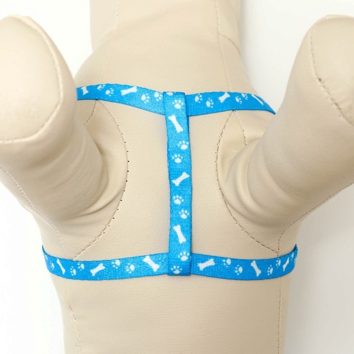 Комплект Комплект "Классика", капрон, поводок 120 х 1 см, ОГ 21-35 см, голубой