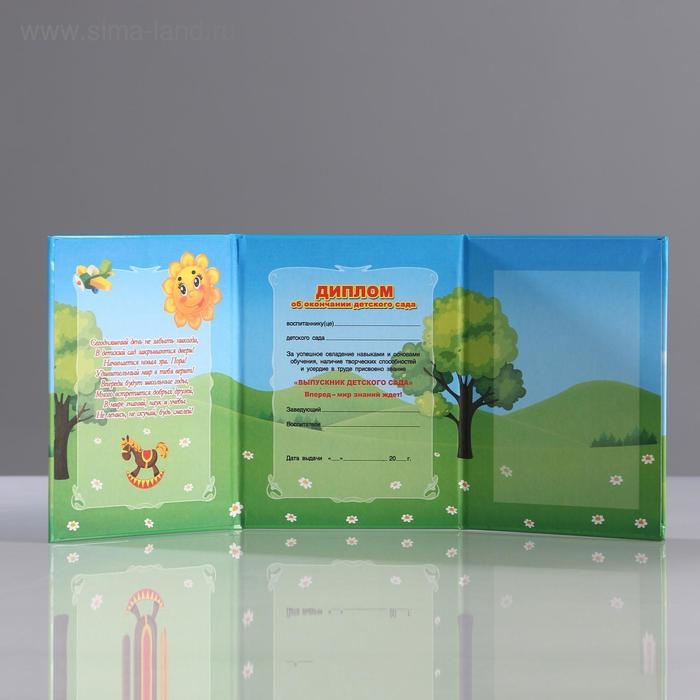 Диплом "Об окончании детского сада" 3 ств, самолёт, А7