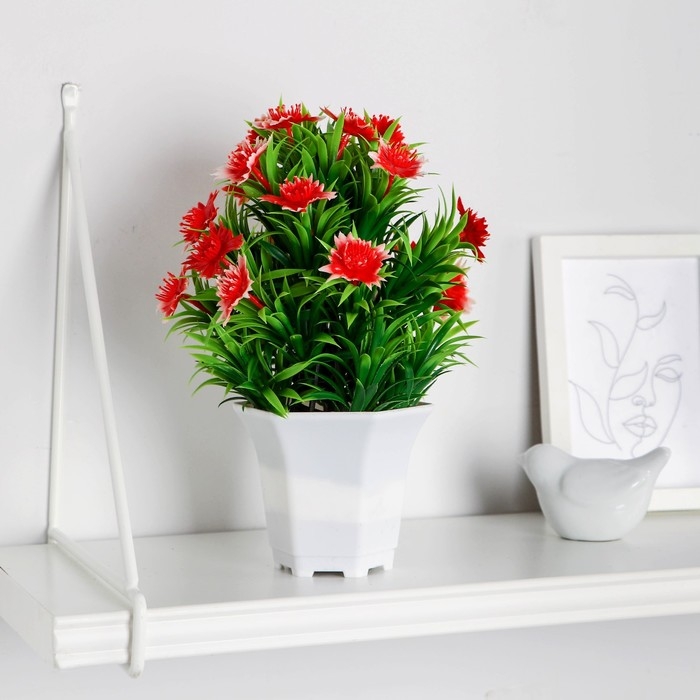 Бонсай в горшке Бонсай в горшке "Скабиоза" 11х21 см, микс