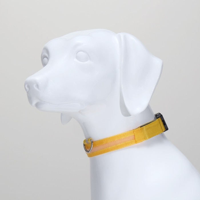 Ошейник с подсветкой размер L, ОШ 45-52 х 2,5 см 3 режима свечения жёлтый Ошейник с подсветкой размер L, ОШ 45-52 х 2,5 см 3 режима свечения жёлтый